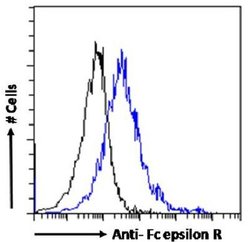 Fc epsilon RI Rabbit anti-Human, Clone: IE7, Novus Biologicals:Antibodies:Primary